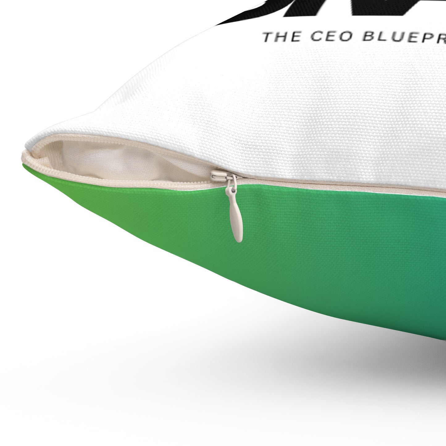 I AM THE BRAND Green Accent Indoor Pillow for Office or Home